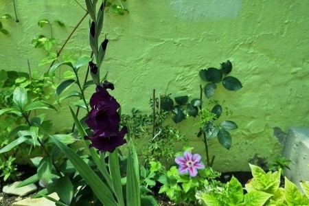 Apartmány 3298-428 - 17