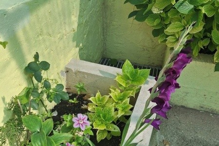 Apartmány 3298-428 - 16