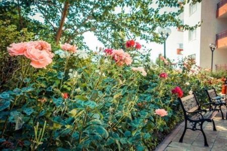 Riviera Fort Beach - 4