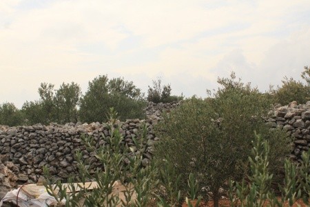 Robinzonáda 3298-1937 - 8