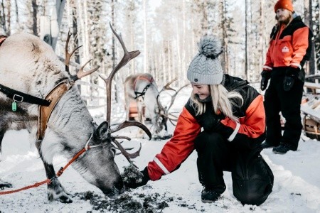 SILVESTR S POLÁRNÍ ZÁŘÍ - FINSKO, LAPONSKO, Levi - 2