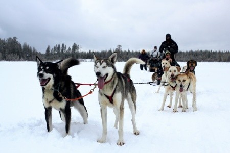 SILVESTR S POLÁRNÍ ZÁŘÍ - FINSKO, LAPONSKO, Levi - 3