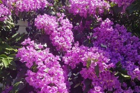 Apartmány 3298-1946 - 23