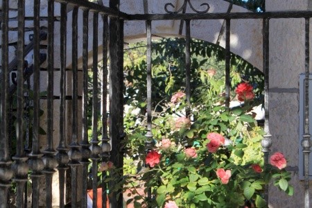 Pokoje 3298-2101 - 17