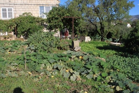 Pokoje 3298-2101 - 18