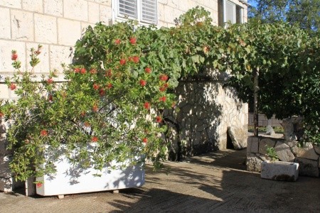 Pokoje 3298-2101 - 19