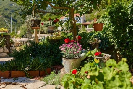 Apartmány 3298-6140 - 7