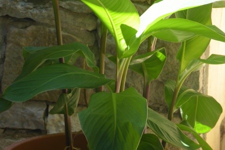 Robinzonáda 3298-2664 - 26