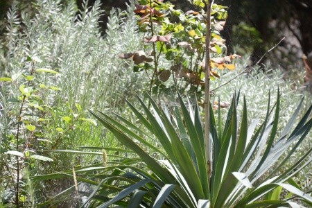 Robinzonáda 3298-2664 - 27