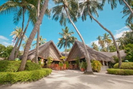 Maldivy Južný Atol Male Fihalhohi Island Resort 15 dňový pobyt Polpenzia Letecky Letisko: Praha October 2026 (16/10/26-30/10/26)
