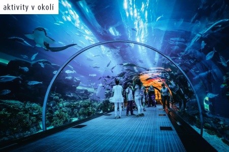 Spojené arabské emiráty Dubaj Sheraton Jumeirah Beach Resort & Towers 8 dňový pobyt Raňajky Letecky Letisko: Budapešť January 2027 (22/01/27-29/01/27)