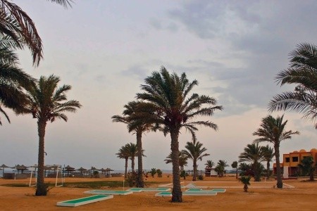 Wadi Lahmy - 18