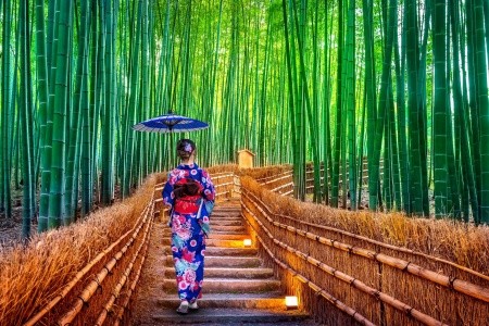Ikonické Japonsko: tajemství země vycházejícího slunce - 12