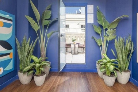 Tryp Cibeles