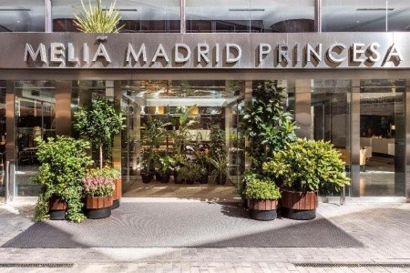 Meliá Madrid Princesa - 2