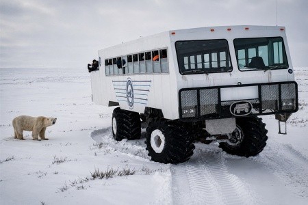 Noc v tundře ledních medvědů | prémiové safari z Tundra Buggy Lodge