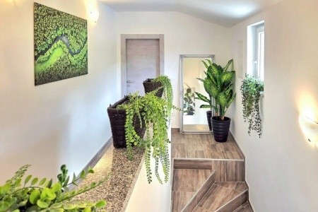 Villa Lux - 14