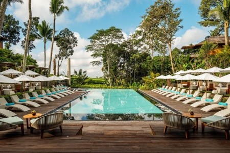 Kappa Senses Ubud