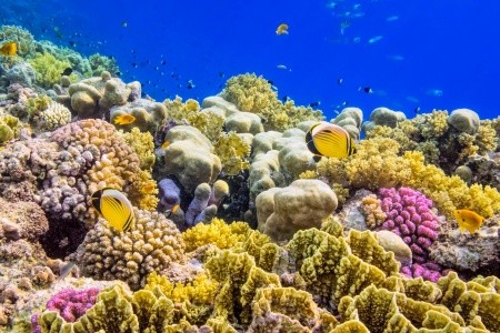 Plavba po Nilu z Marsa Alam - 12