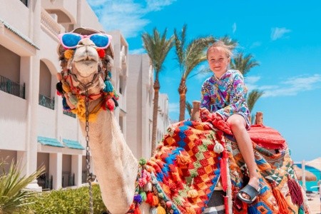Sunny Days El Palacio Resort & Spa - 282
