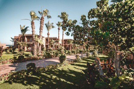 Egypt Hurghada Ananea Hurghada Resort (Ex Jewels Sahara) 13 dňový pobyt All Inclusive Letecky Letisko: Brno July 2026 ( 3/07/26-15/07/26)