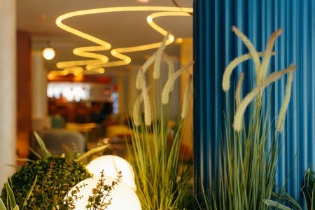 Tolenza Hotels - 52