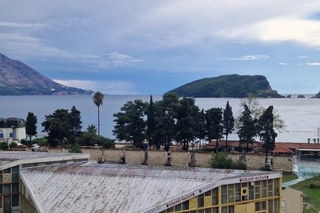 Bracera - 14
