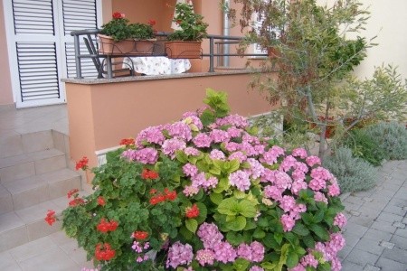Apartmány 3298-2894