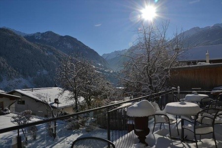 Alpina Nature & Wellness - 39