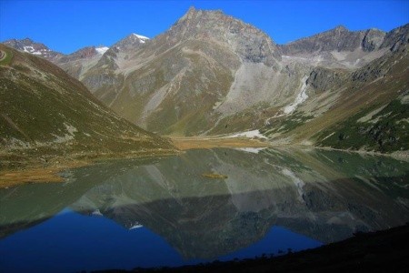 Alpina Nature & Wellness - 41
