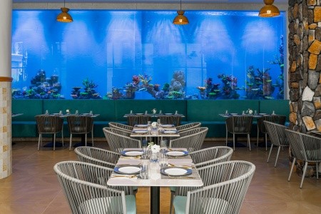 Thajsko Phuket Kora Beach Resort 7 dňový pobyt Raňajky Letecky Letisko: Praha December 2026 (13/12/26-19/12/26)