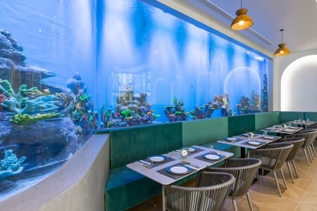 Thajsko Phuket Kora Beach Resort 7 dňový pobyt Raňajky Letecky Letisko: Praha December 2026 (13/12/26-19/12/26)