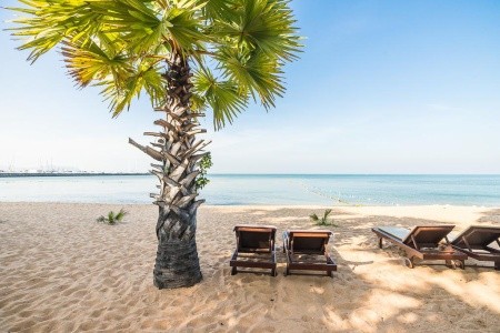 Ravindra Beach Resort & Spa - 59