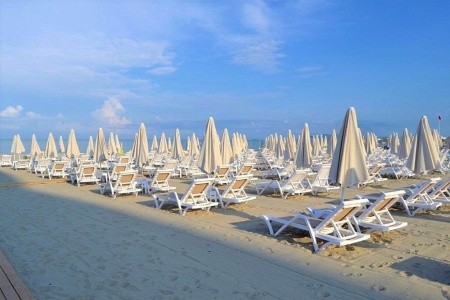 Grand Blue Fafa - 22