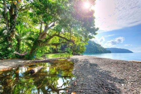 Playa Nicuesa Rainforest Lodge - 13