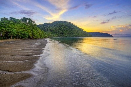 Playa Nicuesa Rainforest Lodge - 14