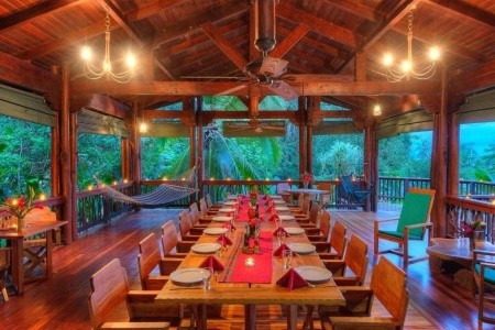Playa Nicuesa Rainforest Lodge - 16