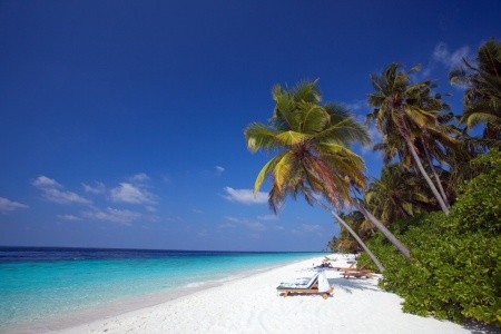 Filitheyo Island Resort - 4