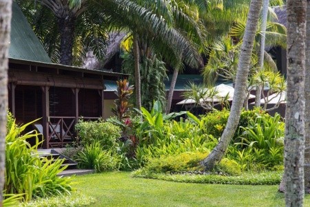 Paradise Sun - 6