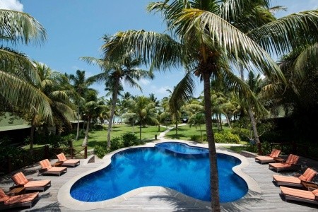 Paradise Sun - 7
