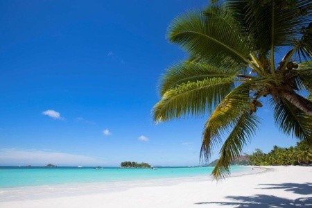 Paradise Sun - 14