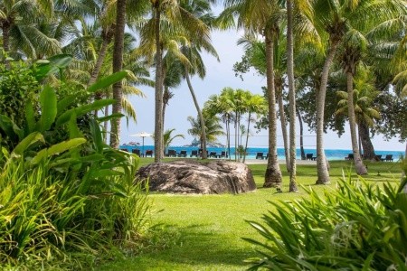 Paradise Sun - 18