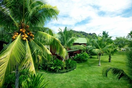Paradise Sun - 19