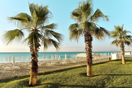 Sentido Marea - 18