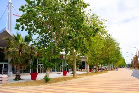 Regent (Pescara) - 20