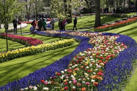 Amsterdam a Květinový park Keukenhof - 12