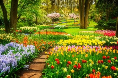 Amsterdam a Květinový park Keukenhof - 13