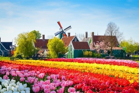 Amsterdam a Květinový park Keukenhof - 17