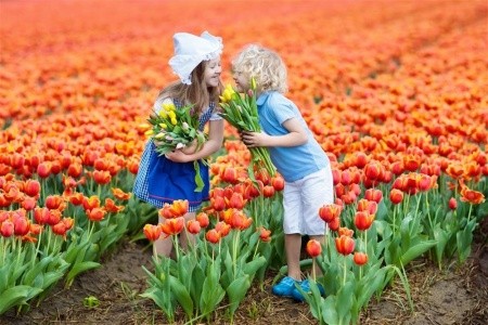 Amsterdam a Květinový park Keukenhof - 19