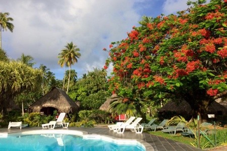 Hibiscus Moorea - 4